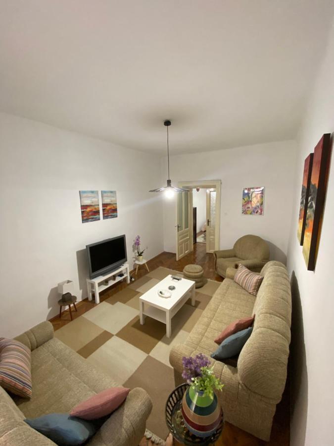 Nf'S Home Lovely Apartment In Heart Of 사라예보 외부 사진